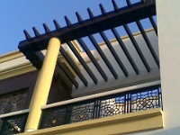 Sheikh Mansour (7)